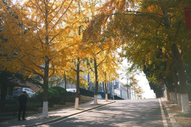 南宁彬稳贸易：建材装饰一站式采购模式提升装修工程效率